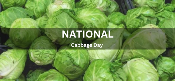 National Cabbage Day [राष्ट्रीय गोभी दिवस]